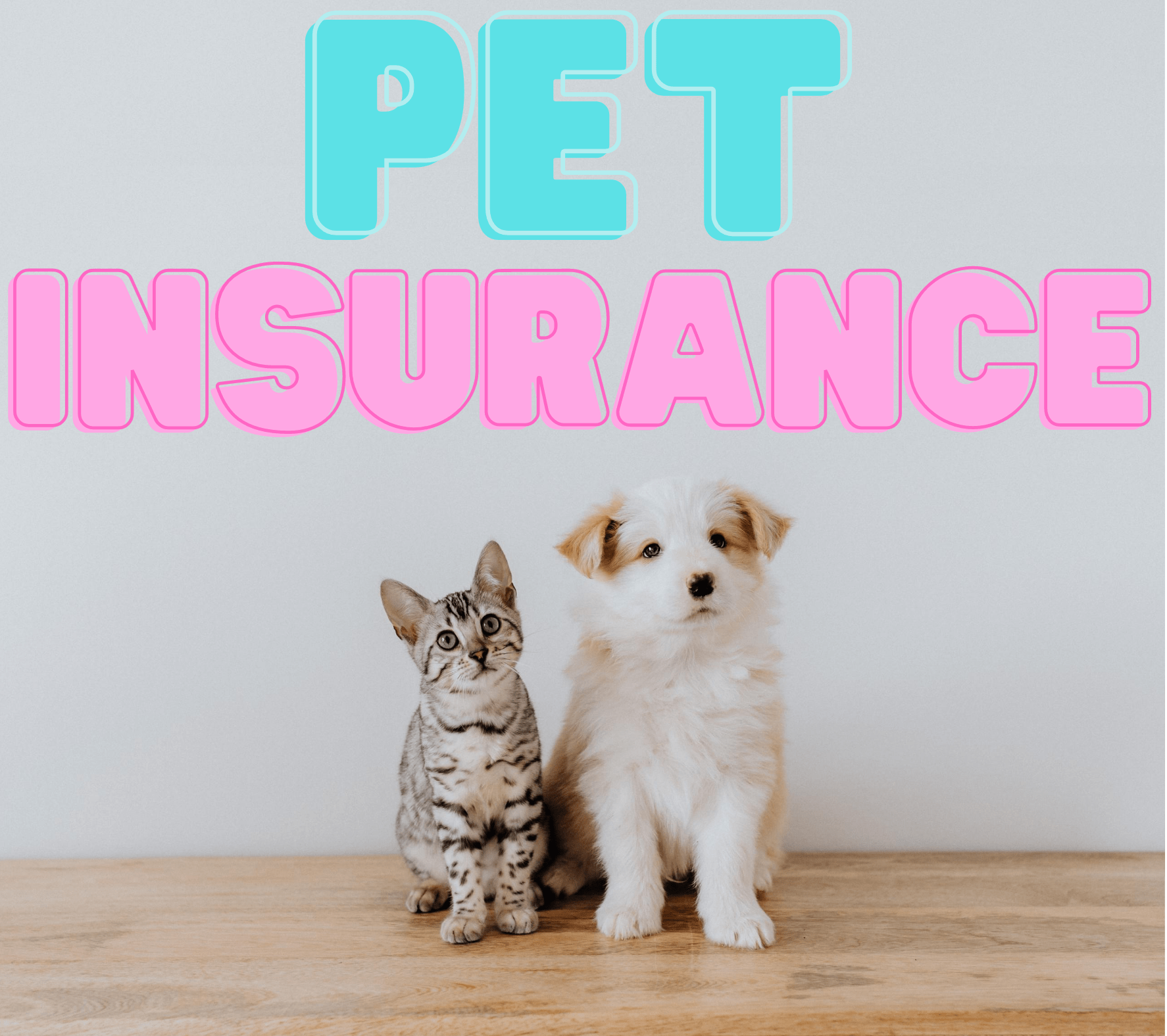 Is Pet Insurance Worth It In 2023