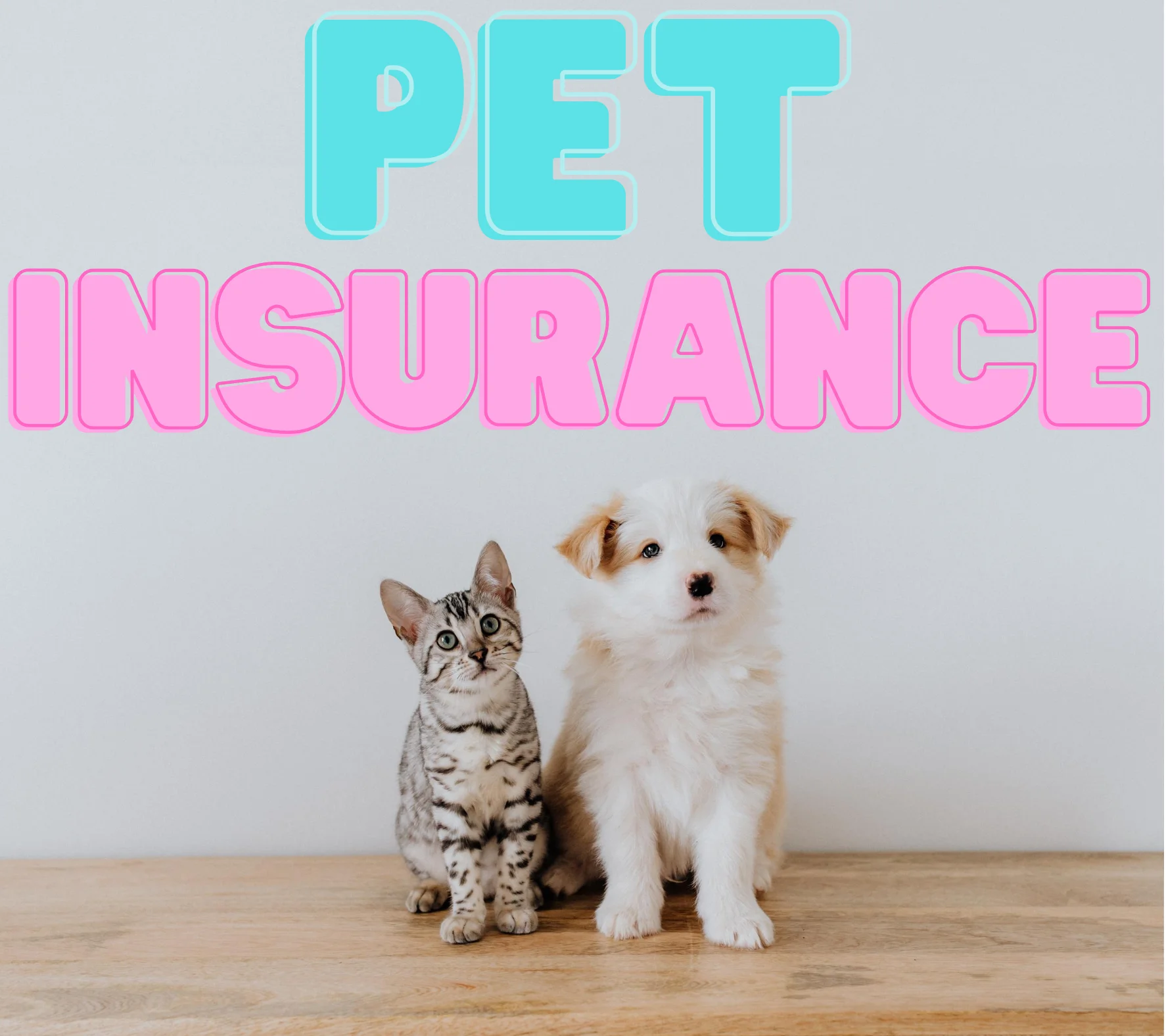 Is Pet Insurance Worth It In 2023